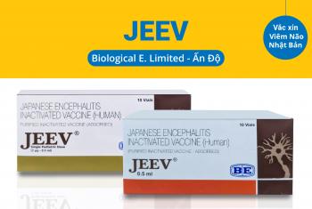 Vắc xin Jeev (Ấn Độ) Phòng Bệnh Viêm Não Nhật Bản