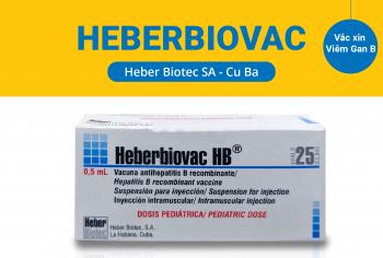 Vắc xin HEBERBIOVAC (Cu Ba) Phòng Viêm Gan B