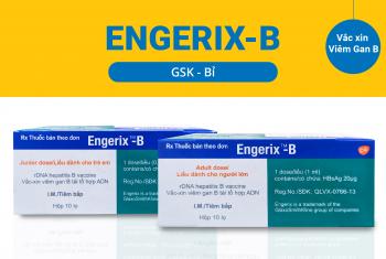 Vắc xin ENGERIX B (Bỉ) phòng bệnh viêm gan B
